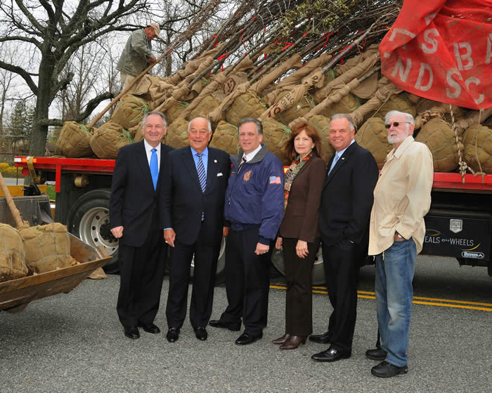 Tree planting for arbor day